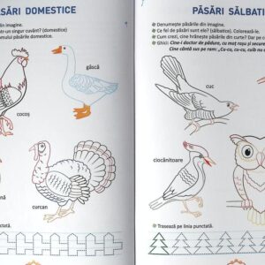 LUMEA DIN JUR 4 ANI