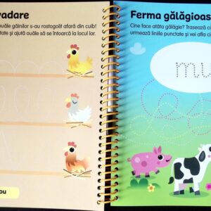 SCRIE SI STERGE ACTIVITATI 3 ANI