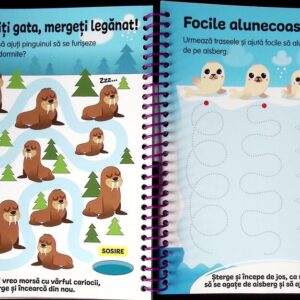 SCRIE SI STERGE ACTIVITATI 4 ANI