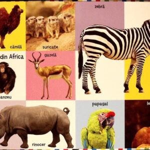 PRIMELE 100 ANIMALE