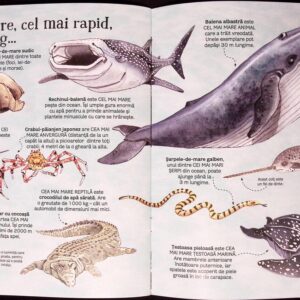 MAREA CARTE A ANIMALELOR DIN MARI SI OCEANE