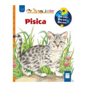 (37) PISICA