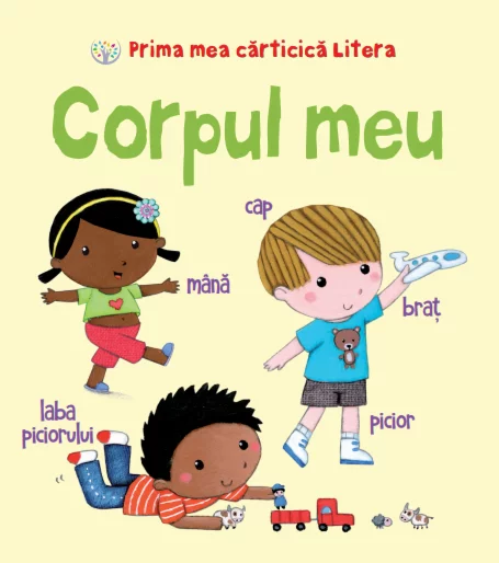 CORPUL MEU - CARTONATĂ