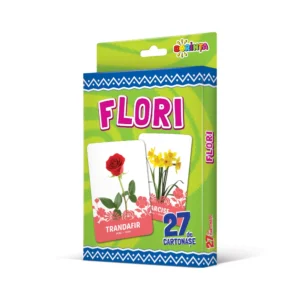 27 CARTONAȘE: FLORI