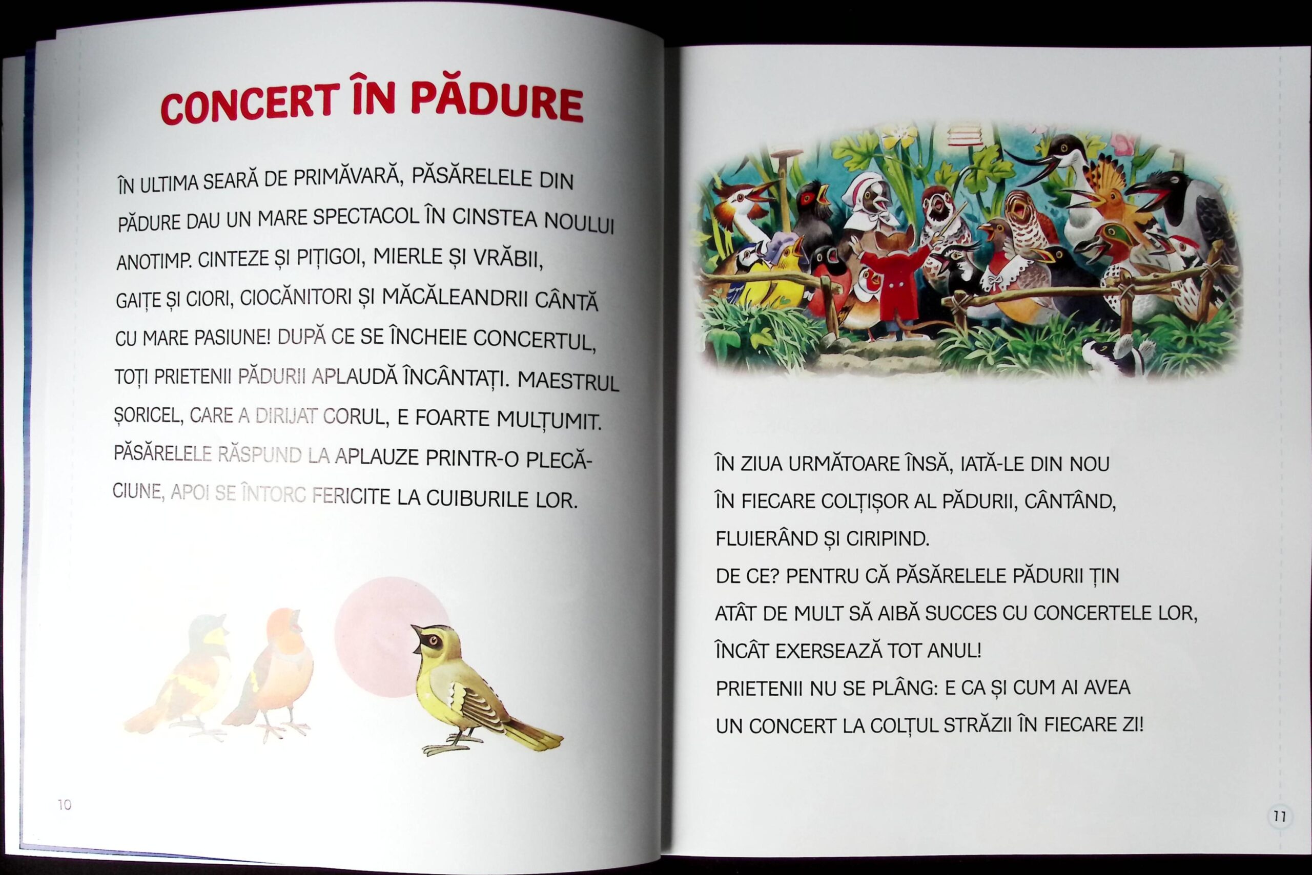 POVESTIOARE CU LITERE MARI CU ILUSTRAȚII DE TONY WOLF - imagine 2