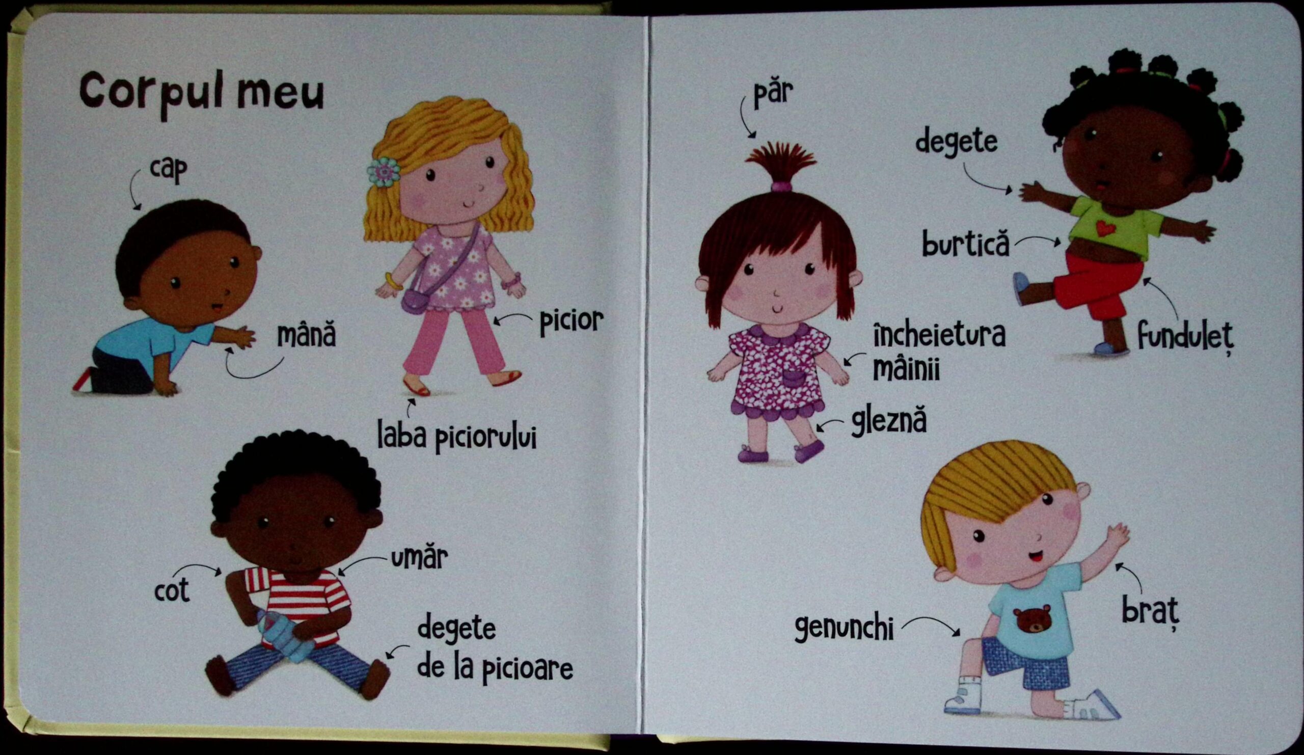 CORPUL MEU - CARTONATĂ - imagine 2