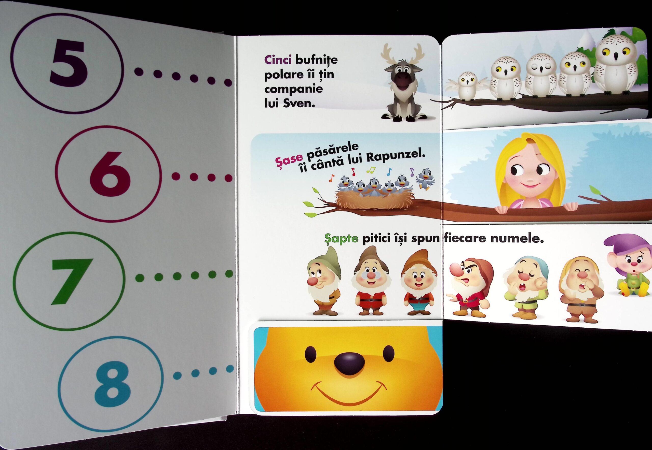 PRIMA MEA CARTE CU CLAPETE MARI: 123 - imagine 3