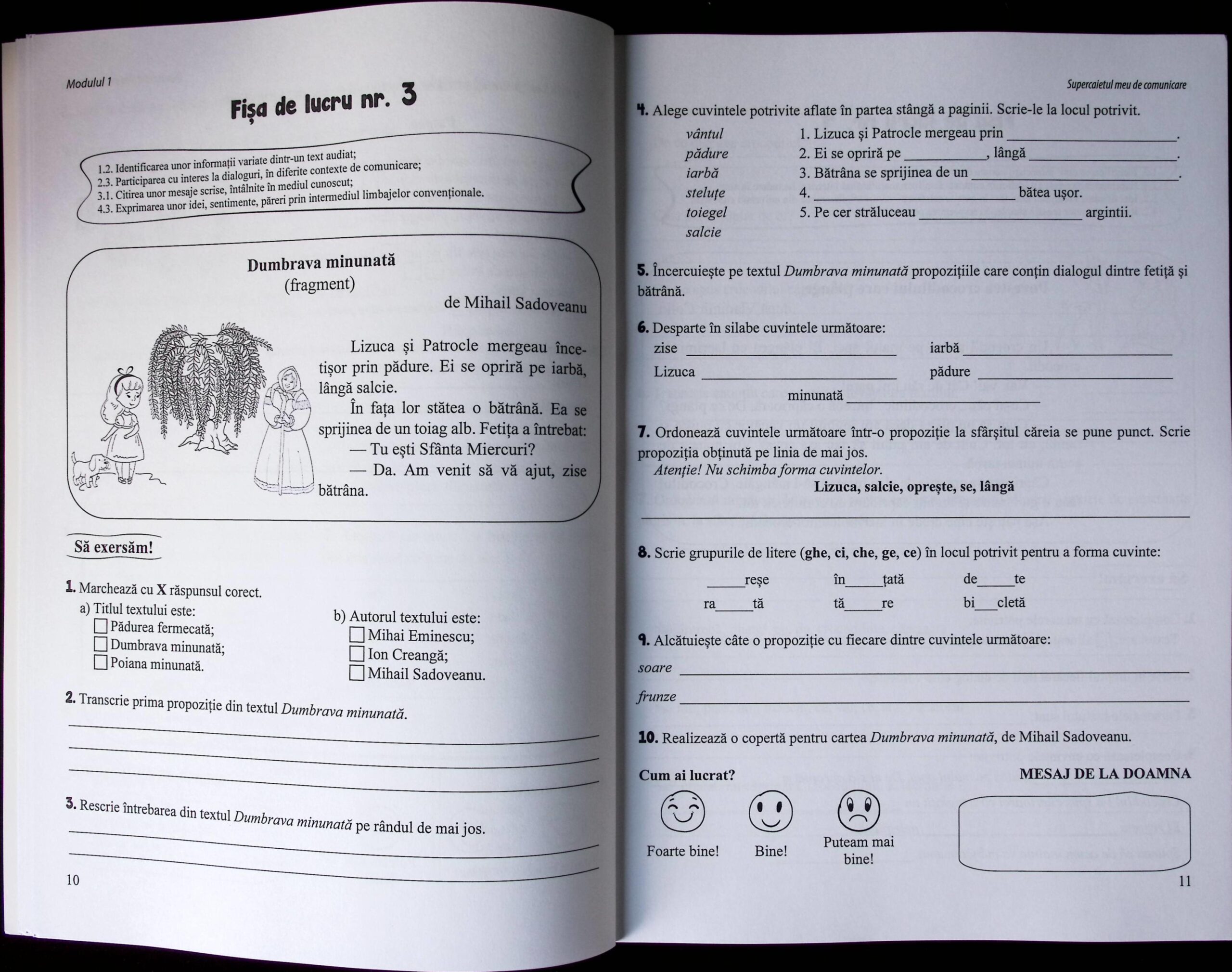 FIȘE DE LUCRU COMPER PENTRU CLASA A 2-A : COMUNICARE - imagine 3