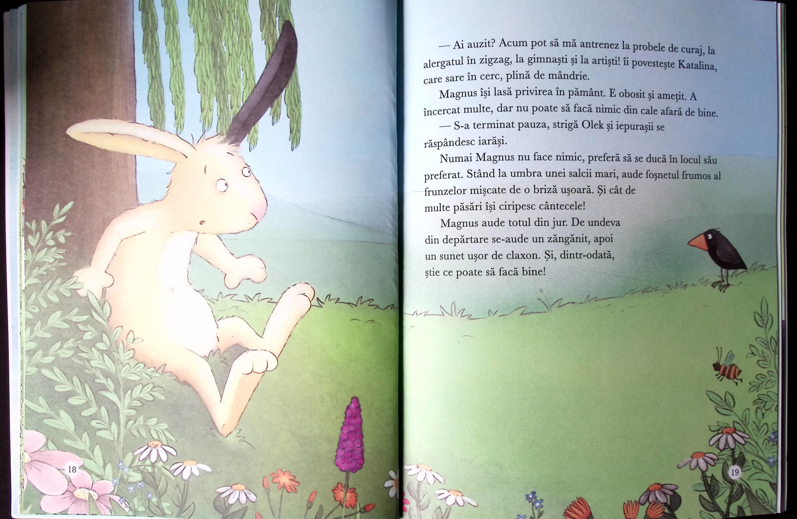 BRAVO, IEPURAȘ! ȘCOALA IEPURAȘILOR - imagine 5
