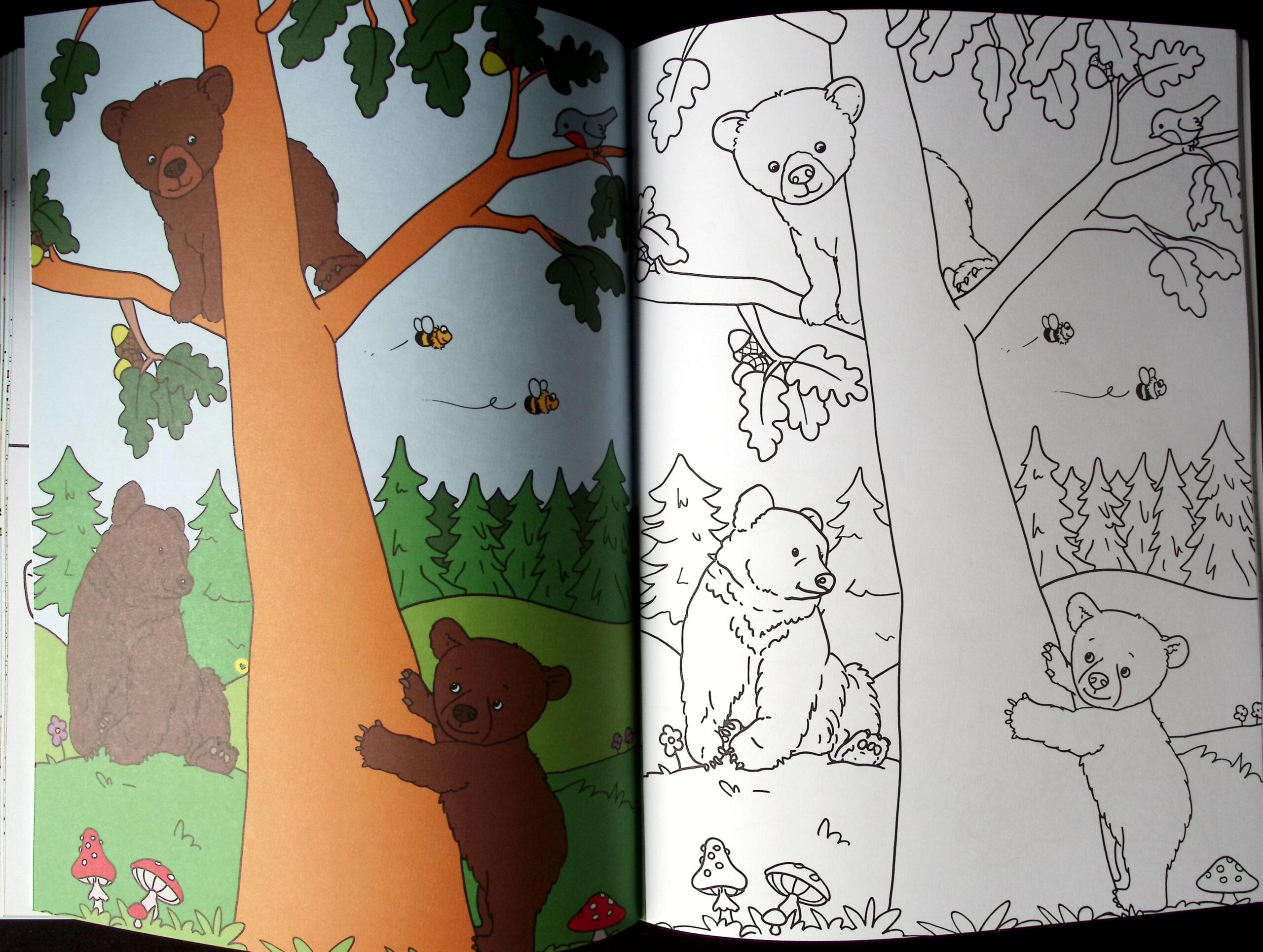 SUPER CULORI 5 ANI + CARTE DE COLORAT - imagine 5