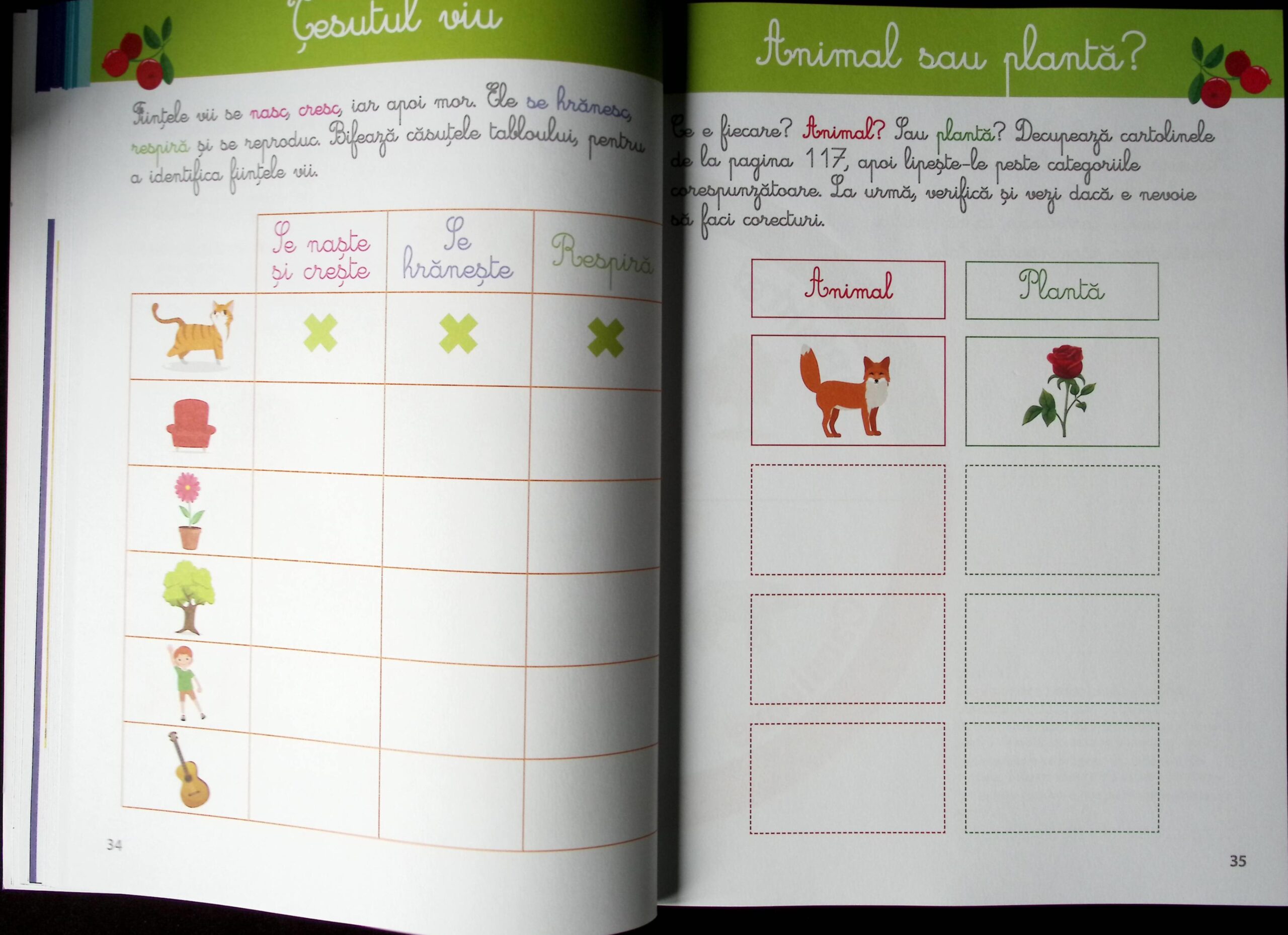 PRIMA MEA CARTE DE ACTIVITĂȚI MONTESSORI : ȘTIINȚE - imagine 5