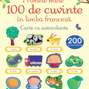 PRIMELE MELE 100 DE CUVINTE ÎN LIMBA FRANCEZĂ